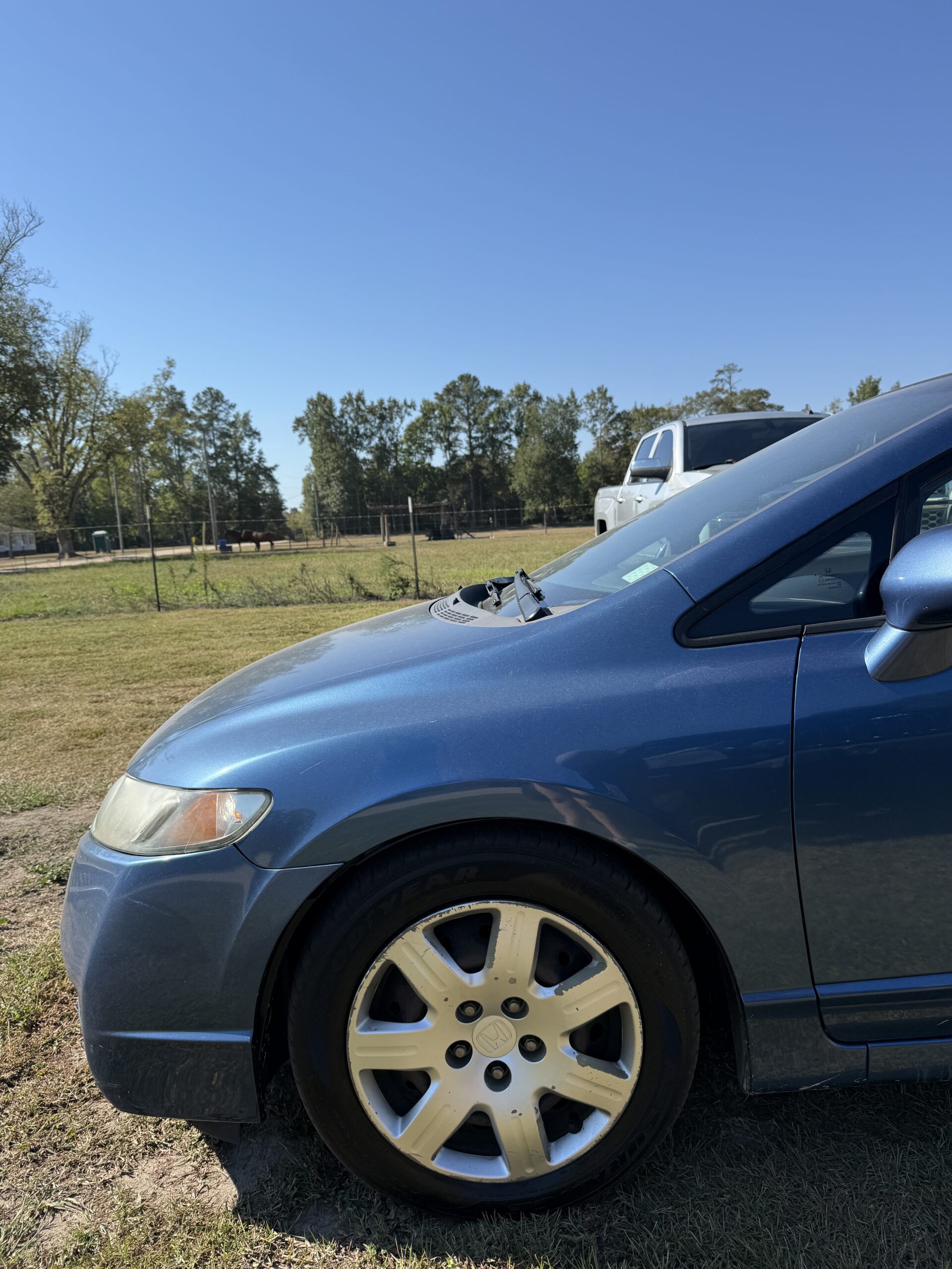 
2010 Honda Civic LX full									